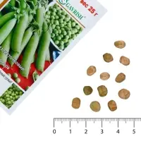 Семена Горох 1+1 &laquo;Никитка&raquo;, 25 г, &laquo;Гавриш&raquo;