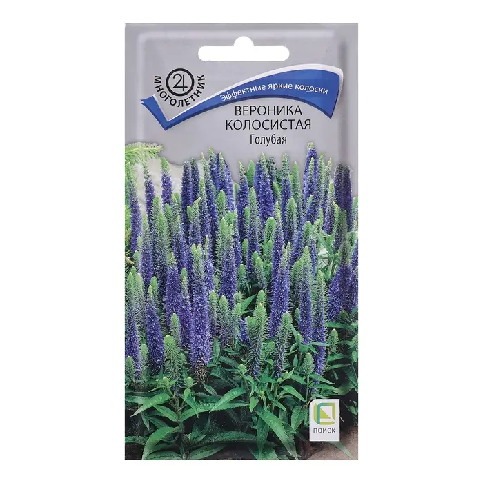 Семена цветов Вероника колосистая "Голубая", 0,1гр. Семена цветов Вероника колосистая "Голубая", 0,1гр.
