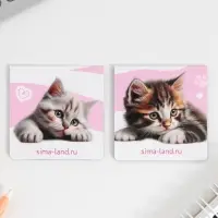 Закладки магнитные для книг, 2 шт &laquo;Котики&raquo;