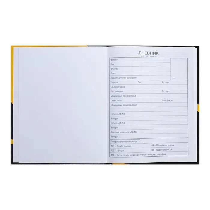 Дневник универсальный для 1-11 классов "Кот-антидепрессант", твёрдая обложка, глянцевая ламинация, 40 листов