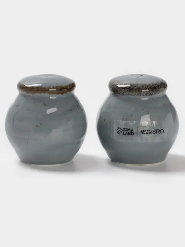 Набор для специй Magistro Alpine Frost, 2 предмета: перечница, солонка, 80 мл, 5&times;6 см, фарфор, голубовато-серый