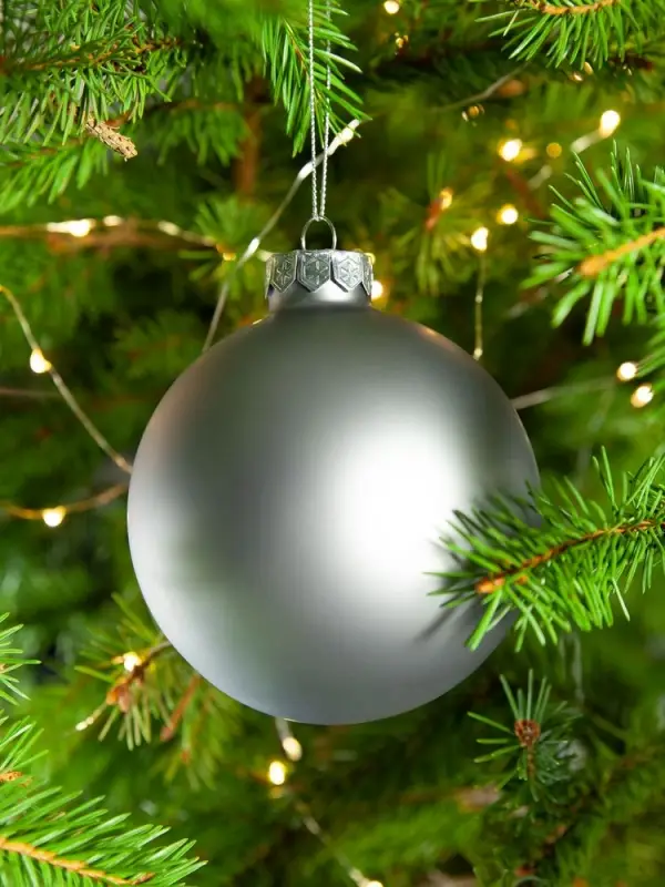 Елочный шар Finery Matt, 10 см, матовый серебристый Елочный шар Finery Matt, 10 см, матовый серебристый