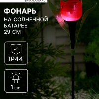 Садовый светильник на солнечной батарее «Тюльпан красный», 5×29×5 см, 1 LED, свечение белое