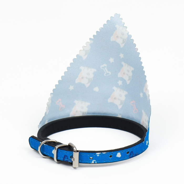Ошейник с косынкой Ошейник с косынкой "Яркая жизнь", 32 х 1 см, синий