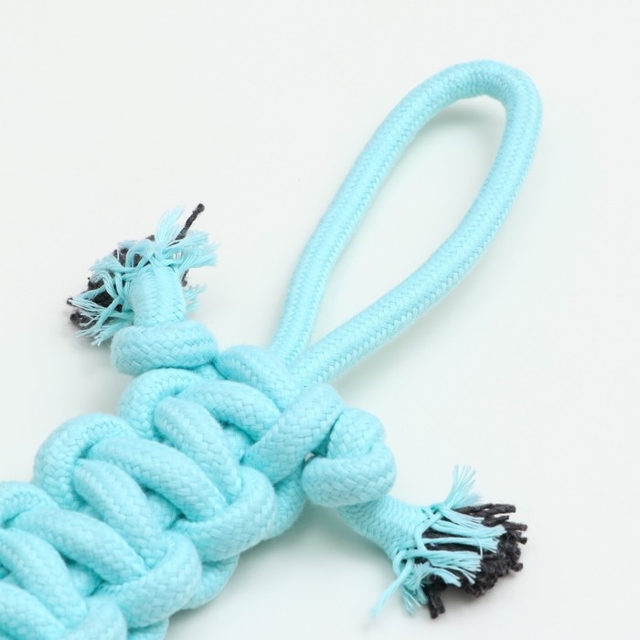 Игрушка канатная Игрушка канатная "Лапта", до 32 см, 90 г, мятная
