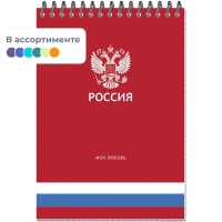 Блокнот А5 Россия 50л УФ лак клетка, спираль 2 дизайна, ассорти, 3344