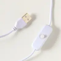 Фигурка светящаяся &laquo;Ганеша - бог мудрости&raquo;, акрил, от USB, 8&times;8&times;10 см