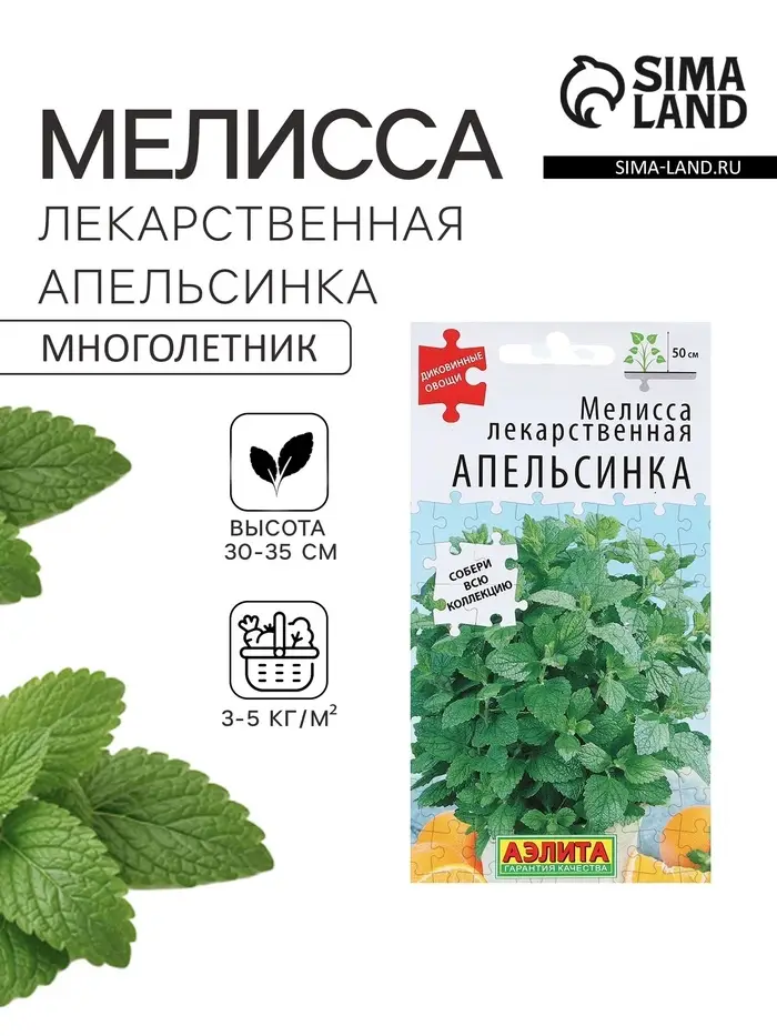 Семена Мелисса лекарственная &laquo;Апельсинка&raquo;, 5 шт., &laquo;Аэлита&raquo;