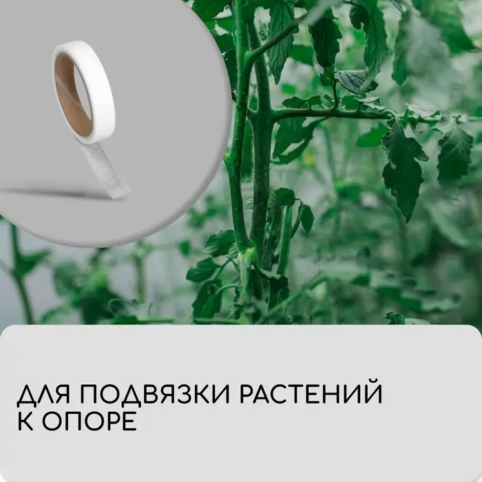 Лента для подвязки растений, 10×0.02 м, плотность 60 г/м², набор 2 шт., спанбонд с УФ-стабилизатором, белая, Greengo, Эконом 20% Лента для подвязки растений, 10×0.02 м, плотность 60 г/м², набор 2 шт., спанбонд с УФ-стабилизатором, белая, Greengo, Эконом 20%