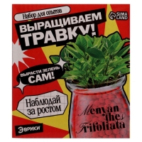 ЭВРИКИ Набор для опытов "Выращиваем травку", красный