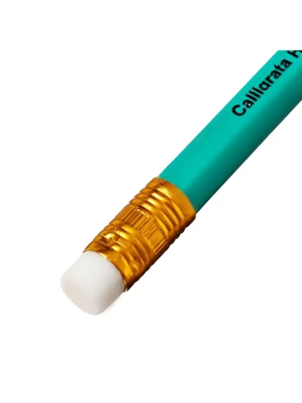 Набор карандашей чернографитных 12 штук, Calligrata Classic, с ластиком, заточенные, пластик, трехгранные, зеленые Набор карандашей чернографитных 12 штук, Calligrata Classic, с ластиком, заточенные, пластик, трехгранные, зеленые