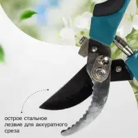 Секатор плоскостной, 9" (23 см), с пластиковыми ручками, Greengo