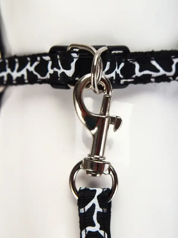 Шлейка с поводком &laquo;Жираф&raquo;, ширина 1 см, поводок 120 см, шлейка 23-35 см, чёрная, белая