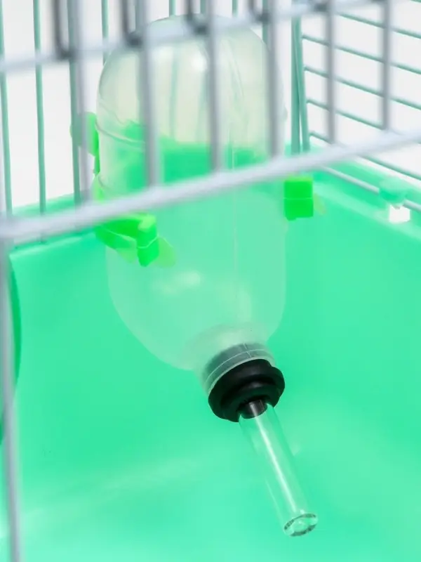 Клетка для грызунов &laquo;Пижон&raquo;, 23&times;17&times;26 см, эмаль, зелёная