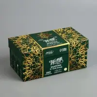 Гирлянда &laquo;Бахрома&raquo; 3&times;0.6 м, IP44, УМС, тёмная нить, 160 LED, свечение тёплое белое, 220 В