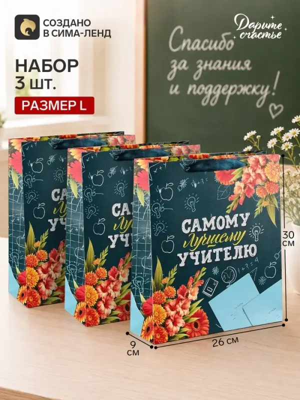 Пакеты подарочные &laquo;Учителю&raquo;, набор 3 шт., 26&times;30&times;9 см