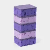 Набор губок для мытья посуды Raccoon &laquo;Версаль&raquo;, 5 шт., 9&times;6.5&times;3.5 см, крупнопористый поролон, фиолетовый