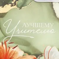 Пакет подарочный ламинированный, упаковка, &laquo;Лучшему учителю&raquo;, M 30&times;26&times;9 см