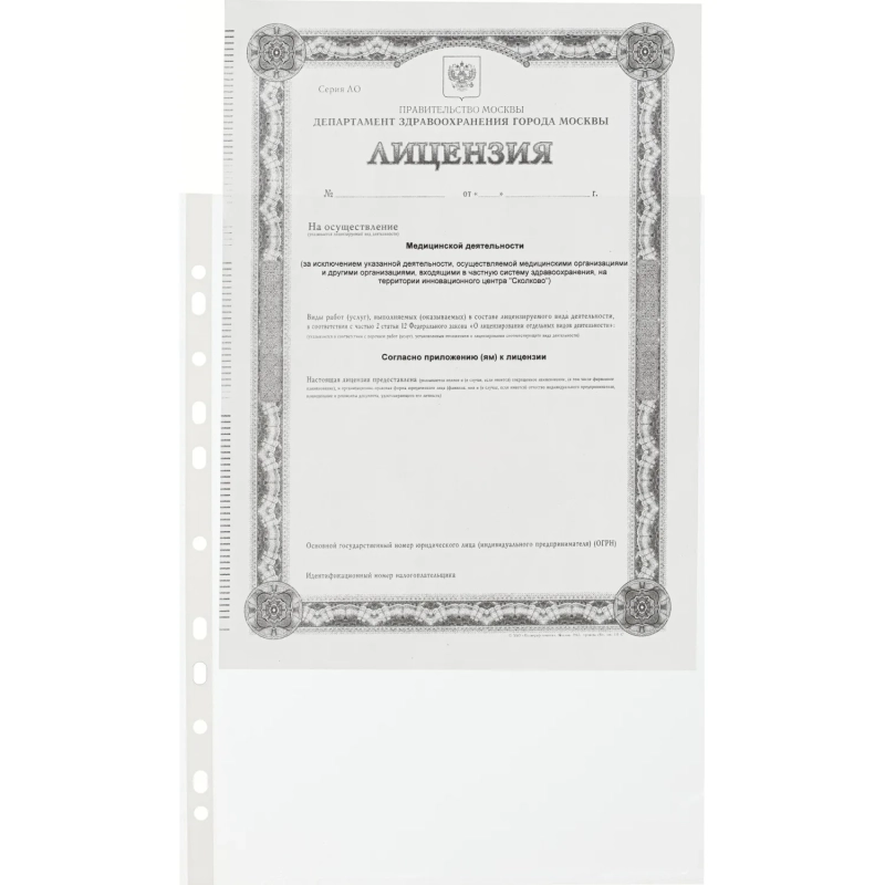 Файл-вкладыш А4 Стандарт 100шт/уп с перф. Россия