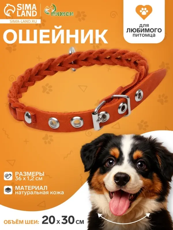 Ошейник, 1.2&times;36 см, ОШ 20-30 см, плетёный, кожа, оранжевый