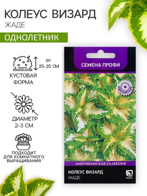 Семена цветов Колеус Визард Жаде, 10шт Семена цветов Колеус Визард Жаде, 10шт