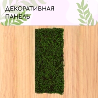 Декоративная панель, 90 × 40 см, «Ряска», Greengo