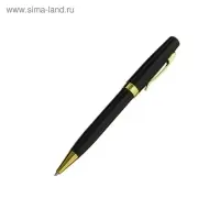 Ручка шариковая, подарочная, в пластиковом футляре, поворотная, &laquo;Линкольн&raquo;, чёрная с золотистыми вставками