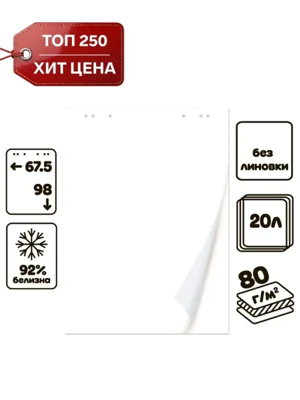 Блокнот для флипчарта Calligrata, 67.5&times;98 см, 20 листов, 80 г/м&sup2;, белизна 92%, белый