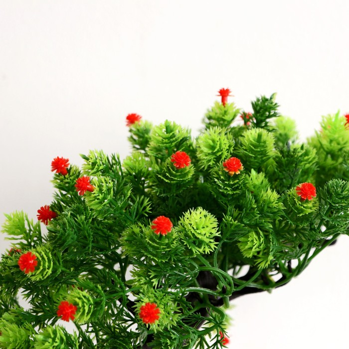 Бонсай в горшке Бонсай в горшке "Деревце изгиб" 12х17 см, микс