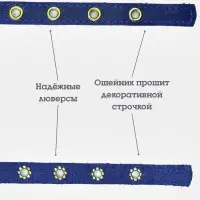 Ошейник, безразмерный, 35&times;1.5 см, с подпряжником, кожа, синий