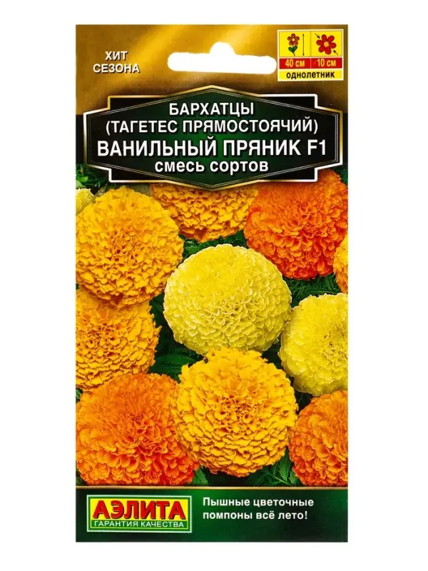 Семена цветов Бархатцы Ванильный пряник F1, смесь сортов Золотая серия, Ц/П,5 шт. Семена цветов Бархатцы Ванильный пряник F1, смесь сортов Золотая серия, Ц/П,5 шт.