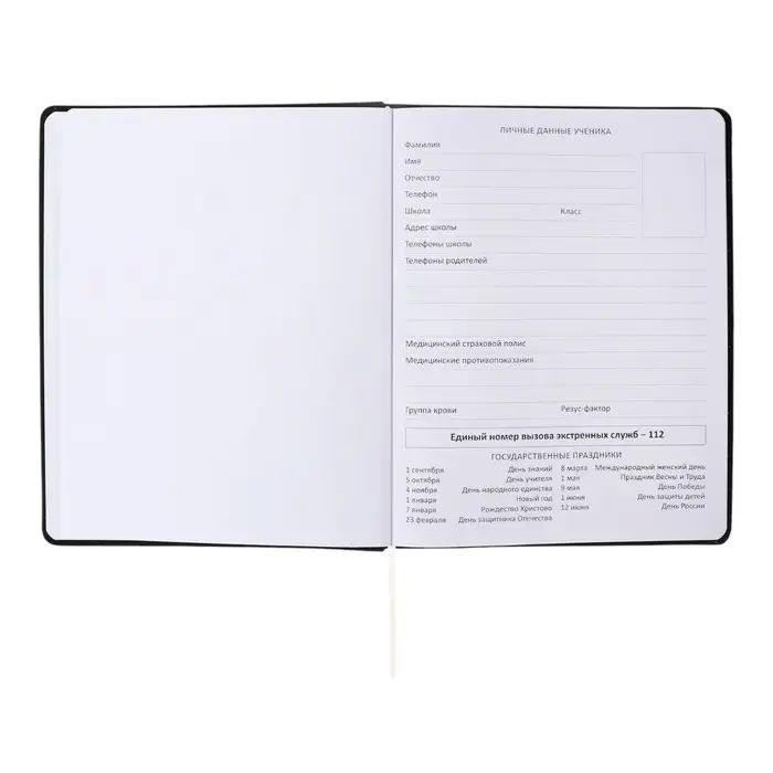 Дневник универсальный для 1-11 класса "Я узнавал", интегральная обложка, искусственная кожа, шелкография, ляссе, 80 г/м2