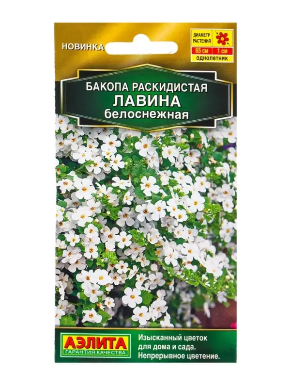 Семена цветов Бакопа раскидистая Лавина белоснежная (драже в пробирке) Золотая серия, Ц/П,3 шт. 109 Семена цветов Бакопа раскидистая Лавина белоснежная (драже в пробирке) Золотая серия, Ц/П,3 шт. 109
