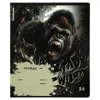 Тетрадь 24 листа в линейку ErichKrause Stay Wild, 60 г/м&sup2;, обложка мелованный картон, МИКС