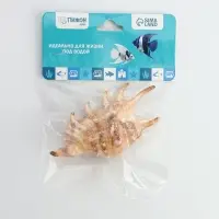 Ракушка декоративная, 7-11 см