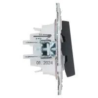 SKANDY Выключатель 2-клавишный 10А SK-V04G графит IEK
