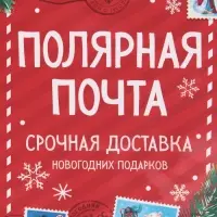 Пакет подарочный новогодний ламинированный «Полярная почта», L 28 х 38 х 9 см