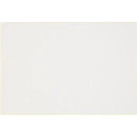 Термотрансферные этикетки ПГЛ 100х150, 1000  шт/рул, вт.76, 4 рул/уп