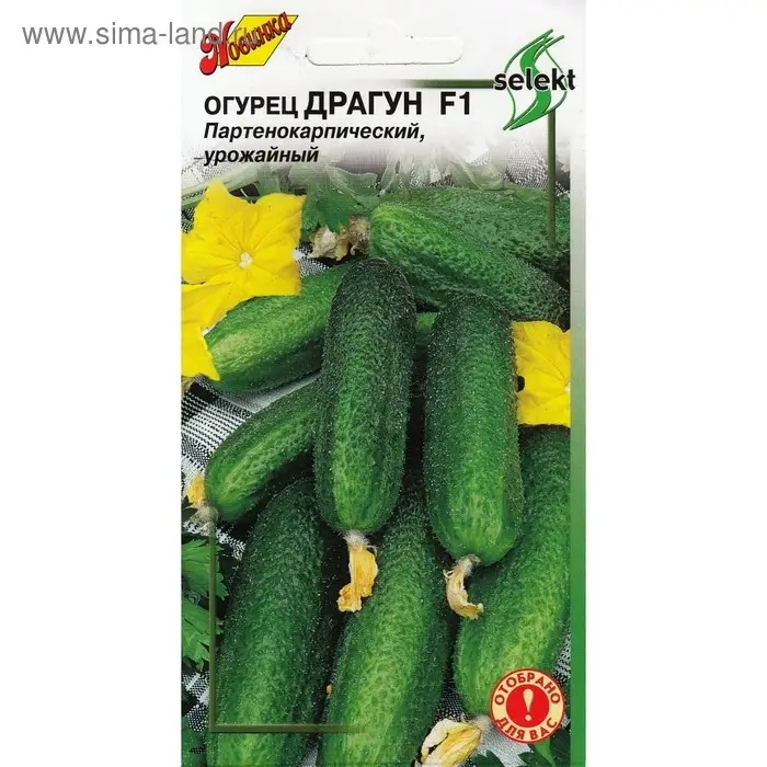Семена огурца "Драгун", F1, 10 шт.