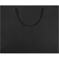 Пакет подарочный бумажный Arc L, черный 20965.30