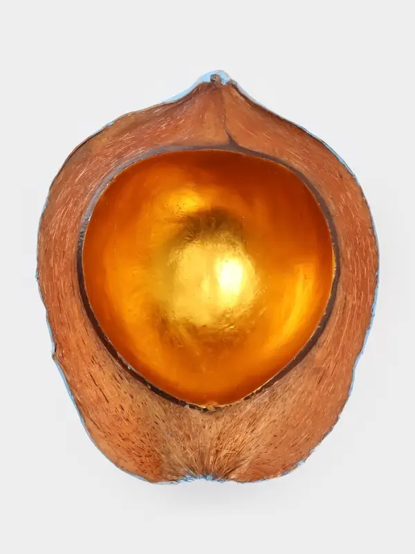 Чаша из кокоса, 22.5&times;25&times;10 см, сине-золотая