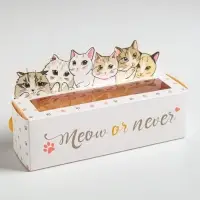 Коробка для макарун кондитерская, упаковка «Meow or never», 18 х 5,5 х 5,5 см