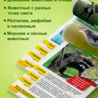 Мини - энциклопедии &laquo;Мир животных&raquo;, 8 шт. по 20 стр.