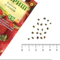 Семена Земляника &laquo;Роман&raquo;, F1, 5 шт., &laquo;Гавриш&raquo;
