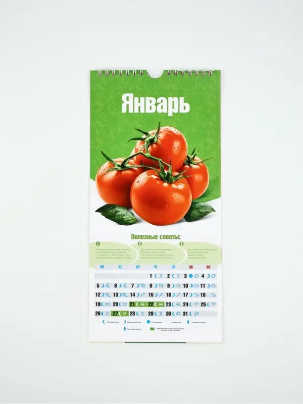 Календарь 2026 на ригеле «Садово-огородный» 16.5×34 см Календарь 2026 на ригеле «Садово-огородный» 16.5×34 см