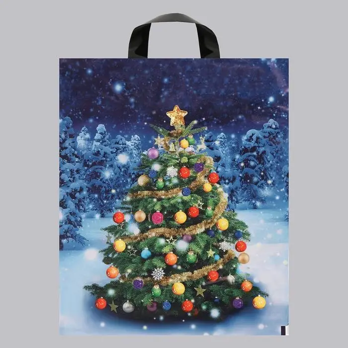 Пакет Пакет "Зимняя красавица", полиэтиленовый с петлевой ручкой, 28x35 см, 50 мкм