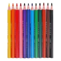 Карандаши цветные 12 цветов, детские, утолщённые, трёхгранные, BIC Kids Evolution Triangle, пластиковые, премиум, картонная упаковка