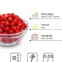 Семена Земляника &laquo;Али-Баба&raquo;, ремонтантная, 0.03 г, &laquo;Семена Алтая&raquo;