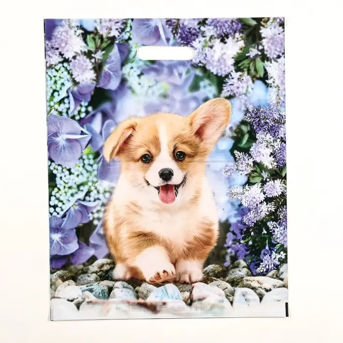 Пакет «Рыжик», полиэтиленовый с вырубной ручкой, 38×47 см, 60 мкм