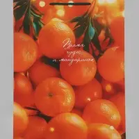 Пакет подарочный &laquo;Время чудес и мандаринок&raquo;, 33&times;10&times;42.5 см